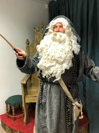 PROFESSOR DUMBLEDOR